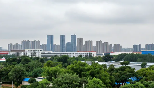 信息咨询服务中的技术实现问题与处理方向